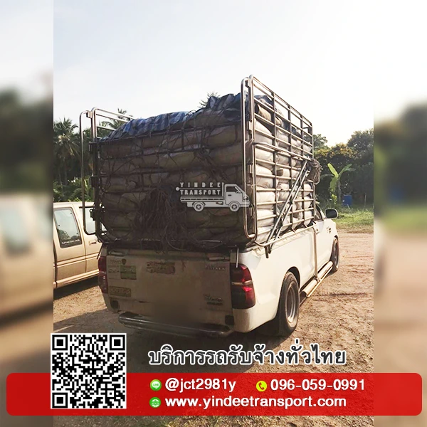 รถกระบะคอกรับจ้างขนของ/ส่งสินค้า