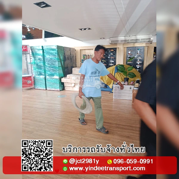 ยกสินค้า จัดเรียงสินค้า ติดรถขนส่งสินค้า