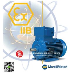 MARELLI D6C71 MA2 Exx Motor 0.37KW /0.5HP/2900RPM,380V,50HZ B3 Foot Mount type