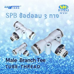 SPB : MALE BRANCE T TUBE TO THREAD ข้อต่อลม 3 ทาง ตัว T สวมสาย 2 ทาง เกลียวลงล่าง เกลียว PT