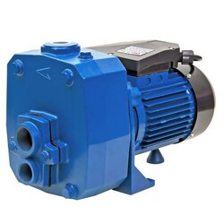 POLO ปั๊มน้ำบาดาล (ปั๊มหอยโข่ง) พร้อมหัวเจ็ทคู่ 2 แรงม้า ดูดลึก 15 ม. รุ่น DP-750A ท่อดูด 1-1/4 นิ้ว ท่อส่ง 1 นิ้ว ส่งน้ำสูงสุด 65 - 78 ม. ปริมาณน้ำ 25 - 48 ลิตร/นาที ขนาดบ่อ 4 นิ้ว (โปโล)