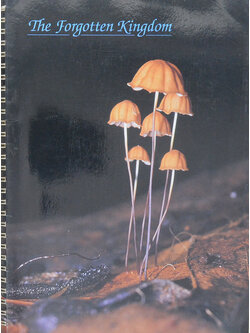 The Forgotten Kingdom (สมุดบันทึก)