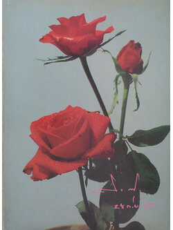 ที่ระลึก 60 ปี อธิบดีสิทธิลาภ