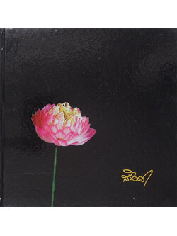 สันต์ เตชะกัมพุช (เหล็กไหล...ไสยศาสตร์หรือวิทยาศาสตร์)