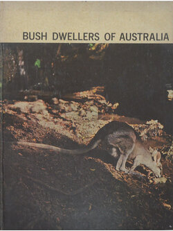 BUSH DWELLERS OF AUSTRALIA