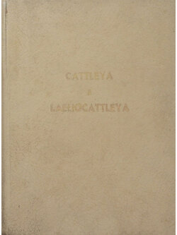 CATTLEYA & LAELIOCATTLEYA