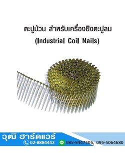 ตะปูม้วน สำหรับเครื่องยิงตะปูลม