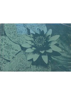 นางสง่า ชาญกลราวี (สวนในบ้าน)