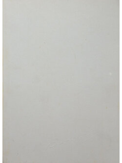 นายวัจน์ อภิบาลภูวนารถ (ระเบียบปฏิบัติของชาวพุทธ)