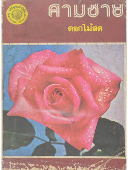 สามชาย (ขายตามสภาพ)