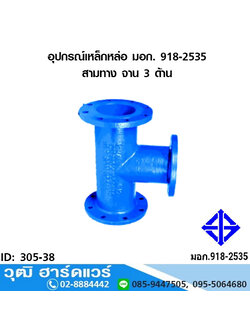 อุปกรณ์เหล็กหล่อ มอก. สามทาง จาน 3 ด้าน