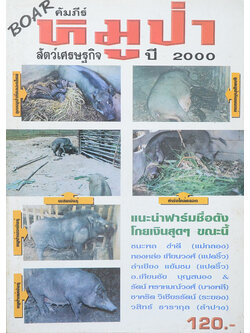 คัมภีร์หมูป่า สัตว์เศรษฐกิจปี 2000