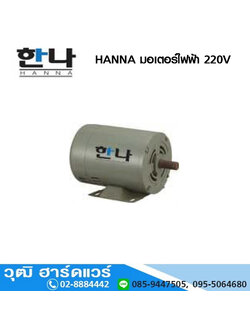 HANNA มอเตอร์ไฟฟ้า 220V