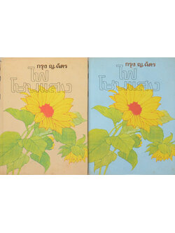 ไฟโชนแสง (2 เล่มจบ)