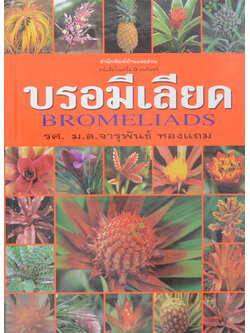 บรอมีเลียด (ขายตามสภาพ)