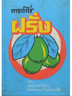 การทำไร่ฝรั่ง