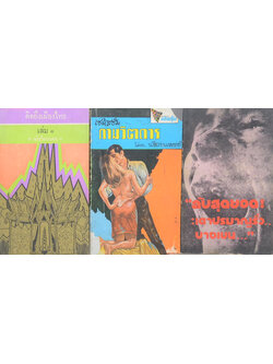 รวมเรื่อง (3 เล่ม / เล่มเล็ก)