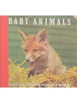 BABY ANIMALS