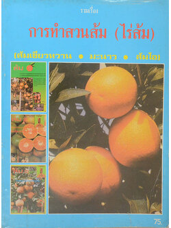 รวมเรื่องการทำสวนส้ม(ไร่ส้ม)