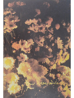 นางอรุณ โปษยะจินดา (วิวัฒนาการกวีนิพนธ์จีน)