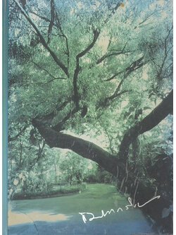 นายแพทย์สาโรจน์ อรรถวิภัชน์ (เรื่องที่เกี่ยวกับการแพทย์ยุคใหม่ในพุทธทัศน์)