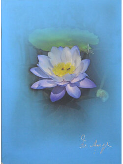 นายวิระ รมยะรูป (อุบลราชธานี มาจากไหน?)