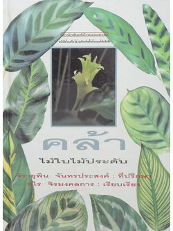 คล้า: ไม้ใบไม้ประดับ