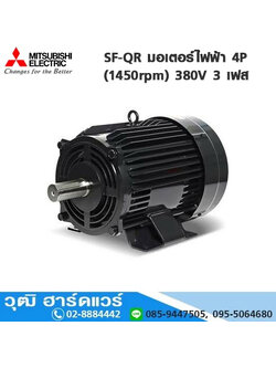 MITSUBISHI SF-QR มอเตอร์ไฟฟ้า 4P (1450rpm) 380V 3 เฟส