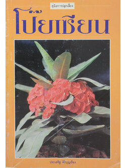 โป๊ยเซียน