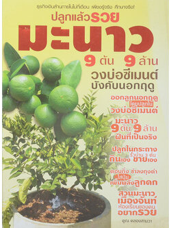 ปลูกแล้วรวย มะนาว 9 ต้น 9 ล้าน วงบ่อซีเมนต์บังคับนอกฤดู