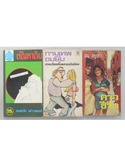 รวมเรื่อง (3 เล่ม / เล่มเล็ก)