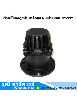 ฟุตวาล์ว / หัวกะโหลกดูดน้ำ เหล็กหน้าแปลน 3นิ้ว-12นิ้ว