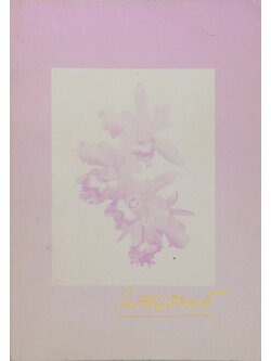 นายสำราญ ศิริพันธ์ (เรื่องเมืองเชียงตุง)