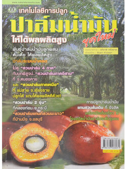 เทคโนโลยีการปลูก ปาล์มน้ำมัน ยุคใหม่