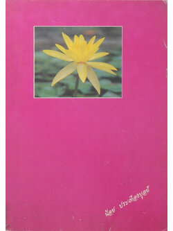 น้อย ประเทืองบูลย์ (พบหมอศิริราช เล่ม 6)