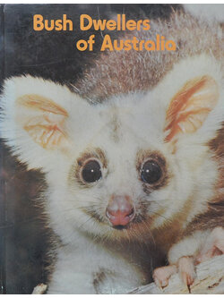 Bush Dwellers of Australia