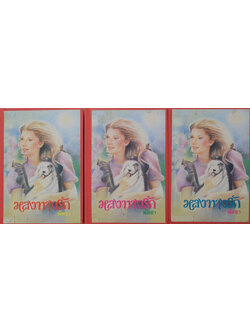 หลงทางรัก (3 เล่มจบ)