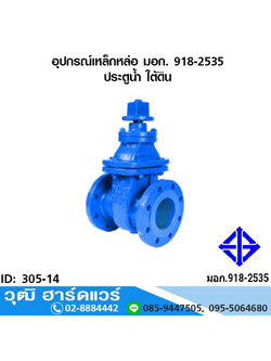 อุปกรณ์เหล็กหล่อ มอก. ประตูน้ำ ใต้ดิน