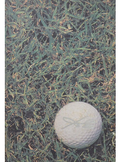 นายเฉลียว แสงวิเชียร (55 ยุทธวิธีลดสกอร์)