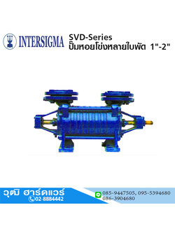 INTERSIGMA SVD-Series ปั๊มหอยโข่งหลายใบพัด 1"-2"
