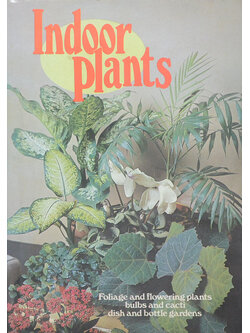 Indoor plants
