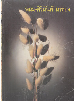 พนม-ศิรินันท์ ผาทอง (เรื่องของยาสูบ)