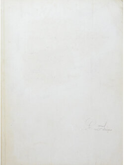 พลตำรวจโทจิตต์ ลีลายุทธ (แผนยุทธการชัยยะ ของ พลตำรวจโทจิตต์ ลีลายุทธ)