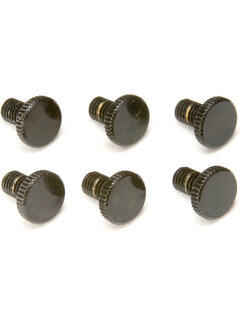 Floydrose Fine Tuning Screw - Set 6 pcs