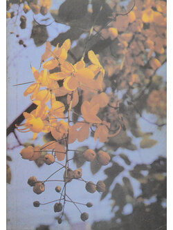 คุณแม่สายหยุด บุญศรี (ตำรายาสมุนไพร)