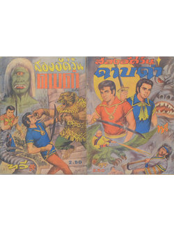 สองอัศวินดาบดำ (2 เล่มจบ)