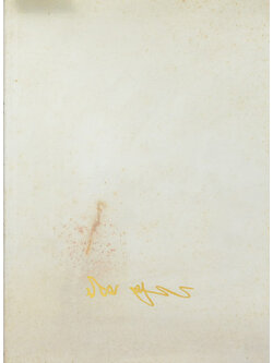 นิยม ติวุตานนท์ (เรื่องนิราศนิวซีแลนด์)