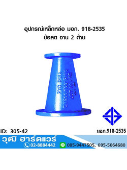 อุปกรณ์เหล็กหล่อ มอก. ข้อลด จาน 2 ด้าน