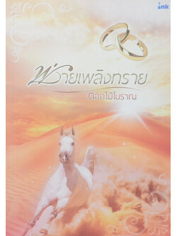 พ่ายเพลิงทราย (เล่มเดียวจบ)