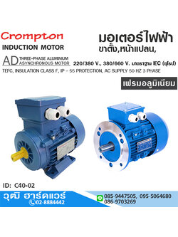 Crompton AD มอเตอร์ไฟฟ้า ขาตั้ง / หน้าแปลน 380V 0.5-30HP เฟรมอลูมิเนียม